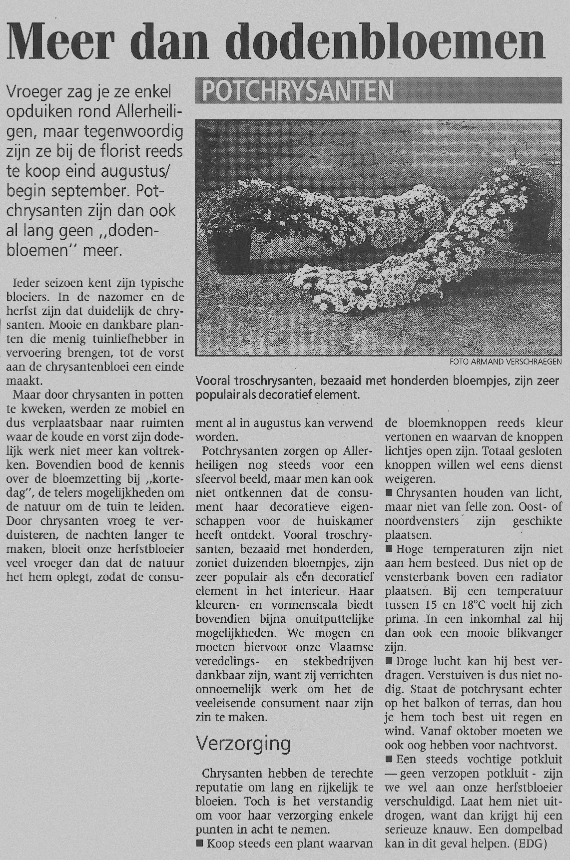 1 meer dan dodenbloemen 101995.jpeg