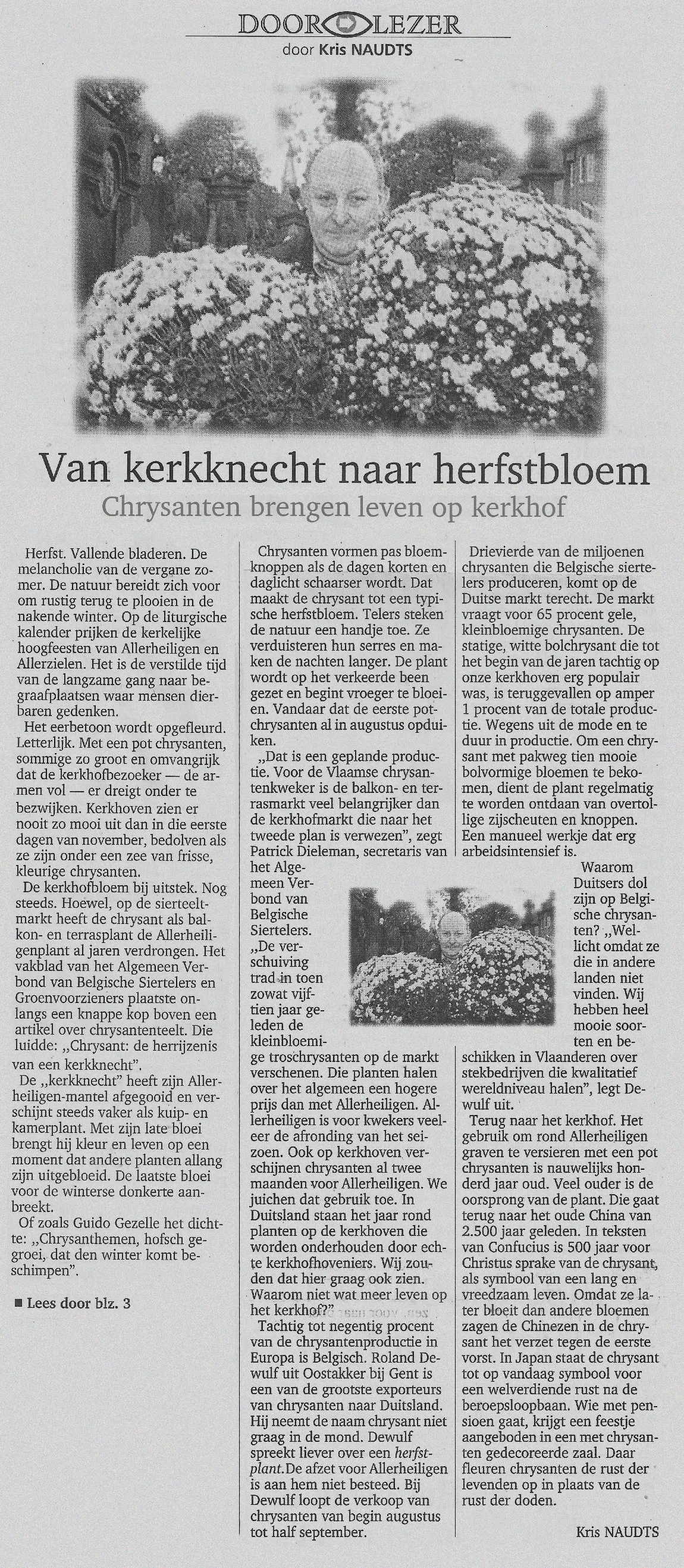 4 van keerkknecht naar herfstbloem NB271098a.jpg