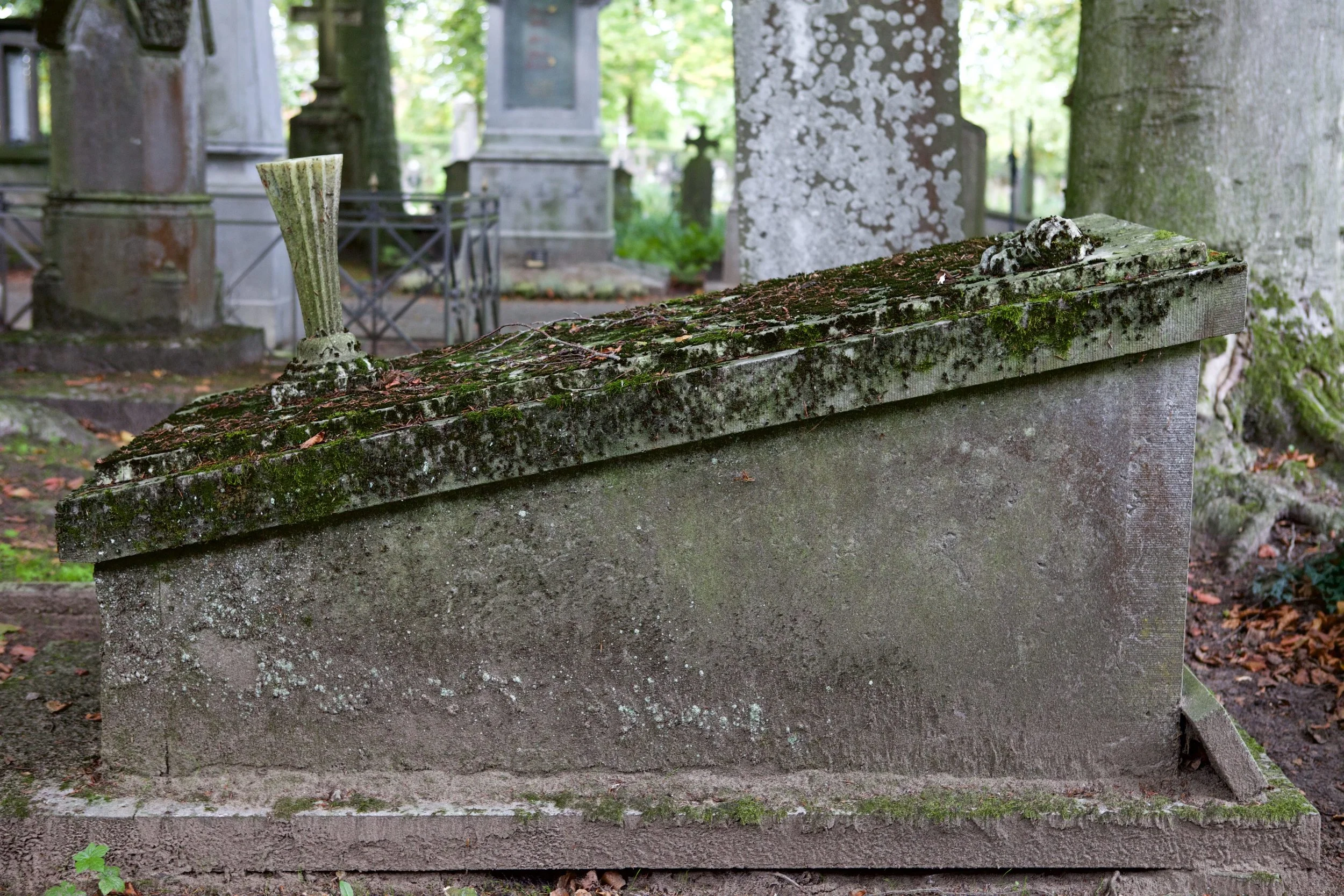 Foto's stedelijke begraafplaats.&nbsp; Albert Thooris, vak 7/101.&nbsp; Privébezit.